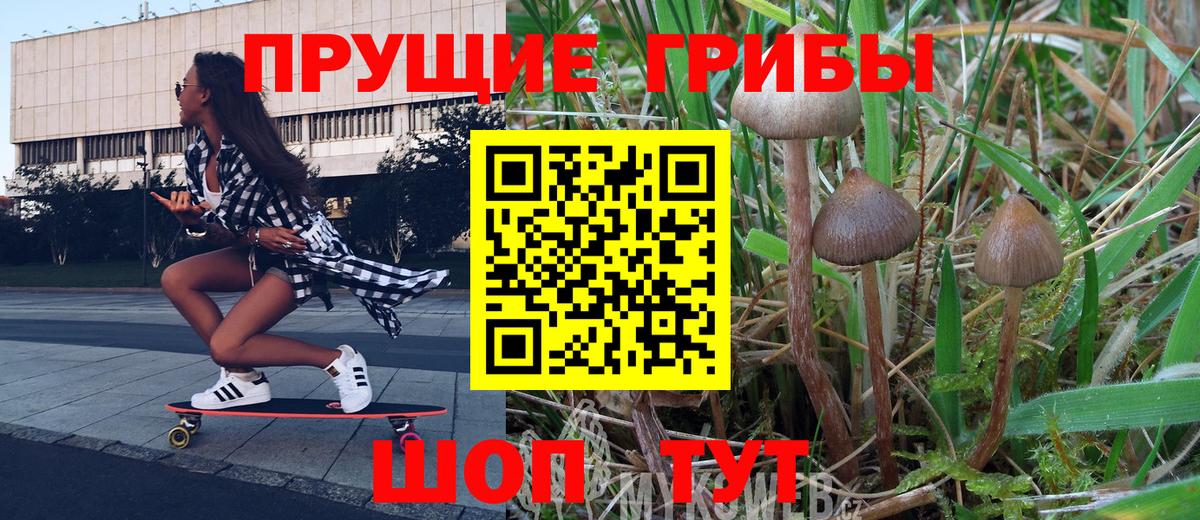 Дивногорск  Псилоцибиновые грибы Psilocybine cubensis  купить наркотик  Вход с VPN 